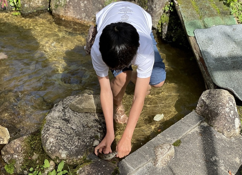 魚のつかみどり体験（岡山県鏡野町）