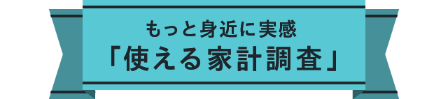 もっと身近に実感 「使える家計調査」