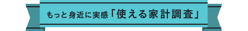 もっと身近に実感 「使える家計調査」