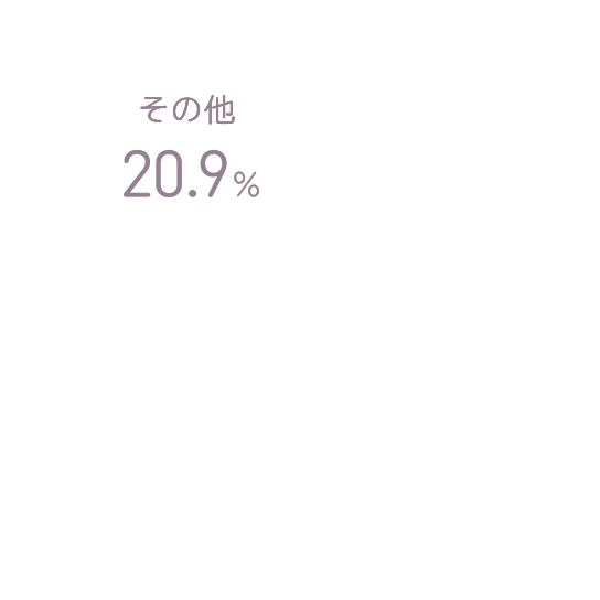 その他 20.95