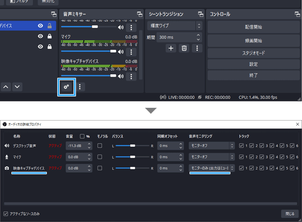 映像キャプチャデバイス、モニターのみ (出力はミュート)