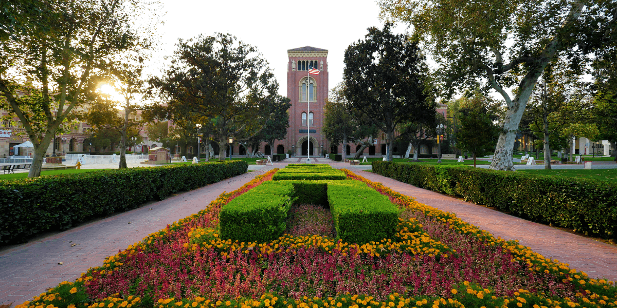 Flower garden in the middle of two paths leading to a building.