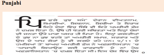 Punjabi example