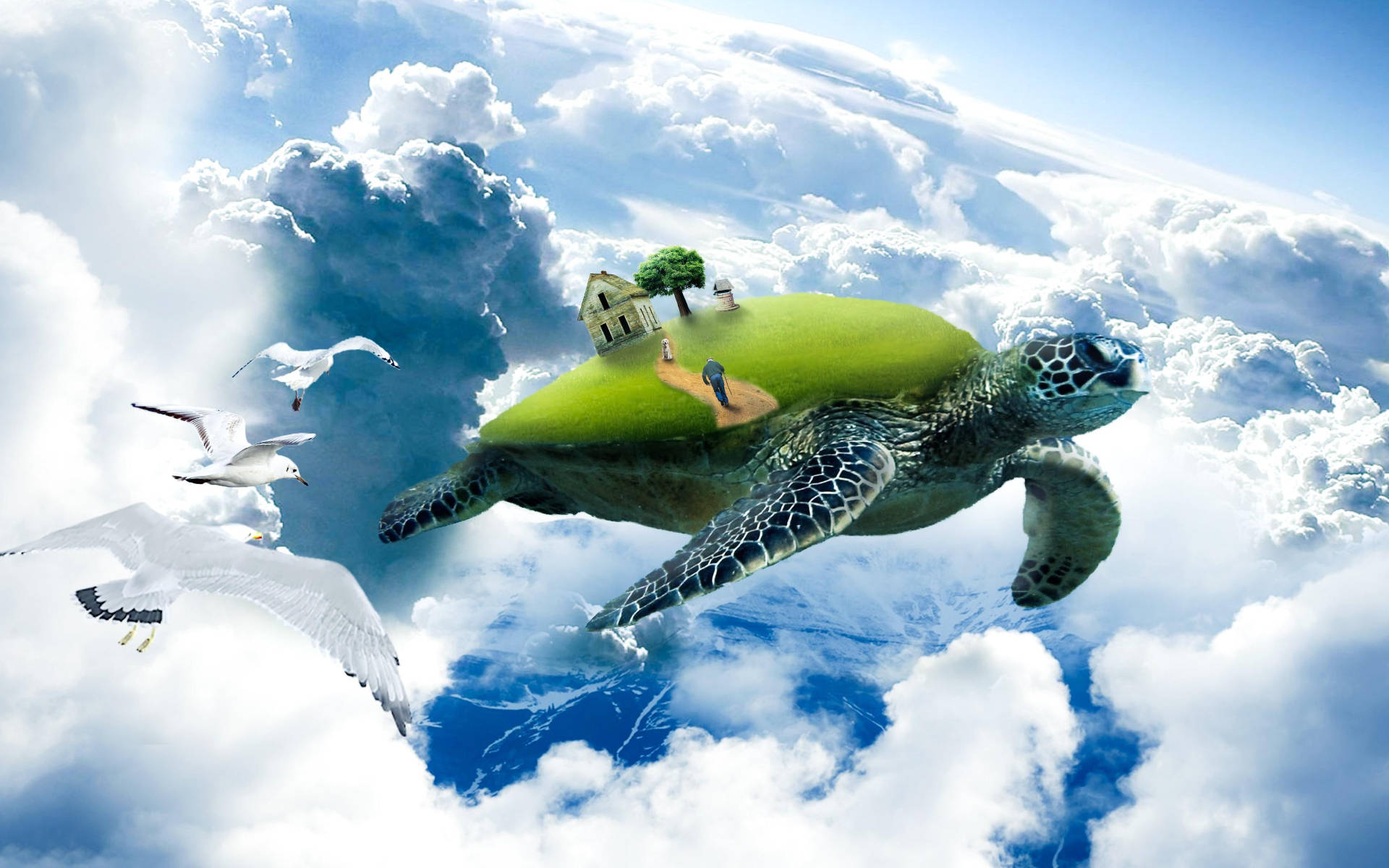 Cool Turtle Wallpaper