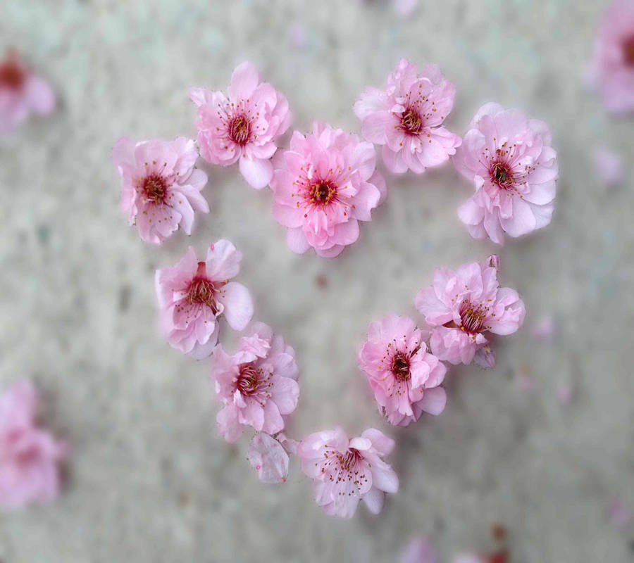 Coração Rosa Papel de Parede