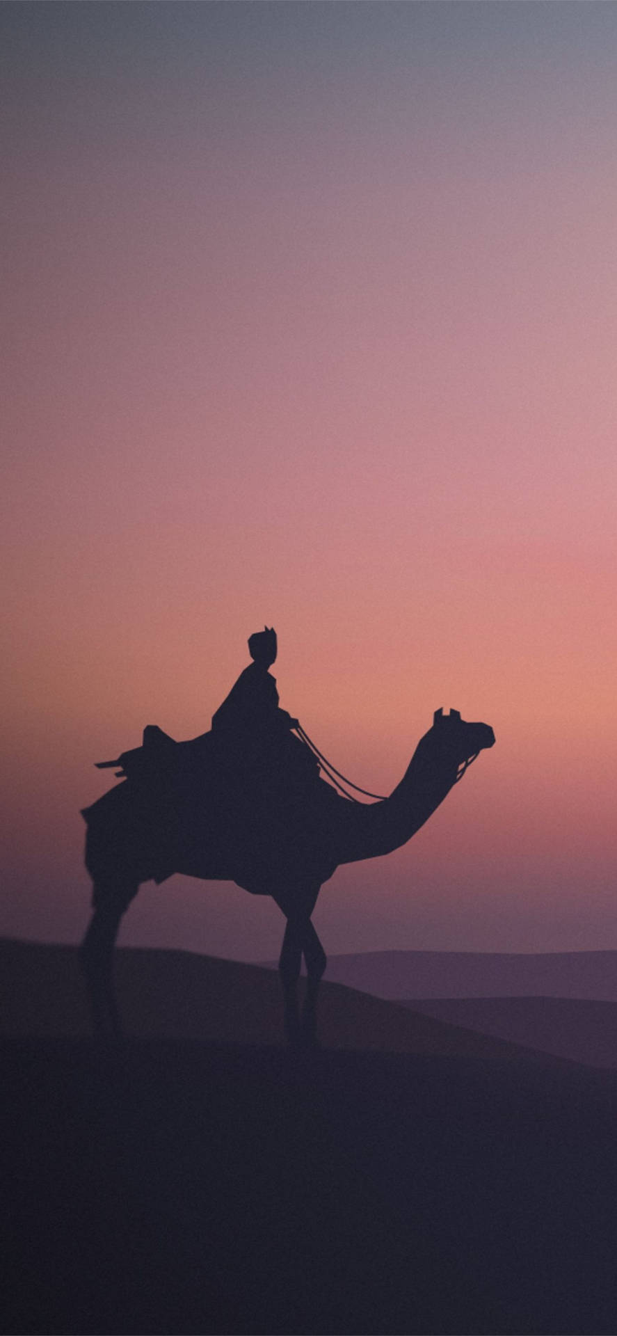 Camel Wallpaper