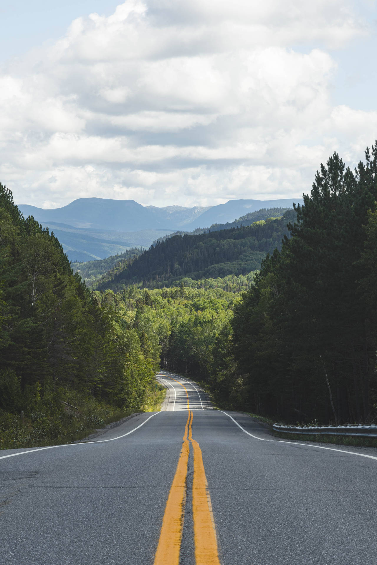 Camino Fondo de pantalla