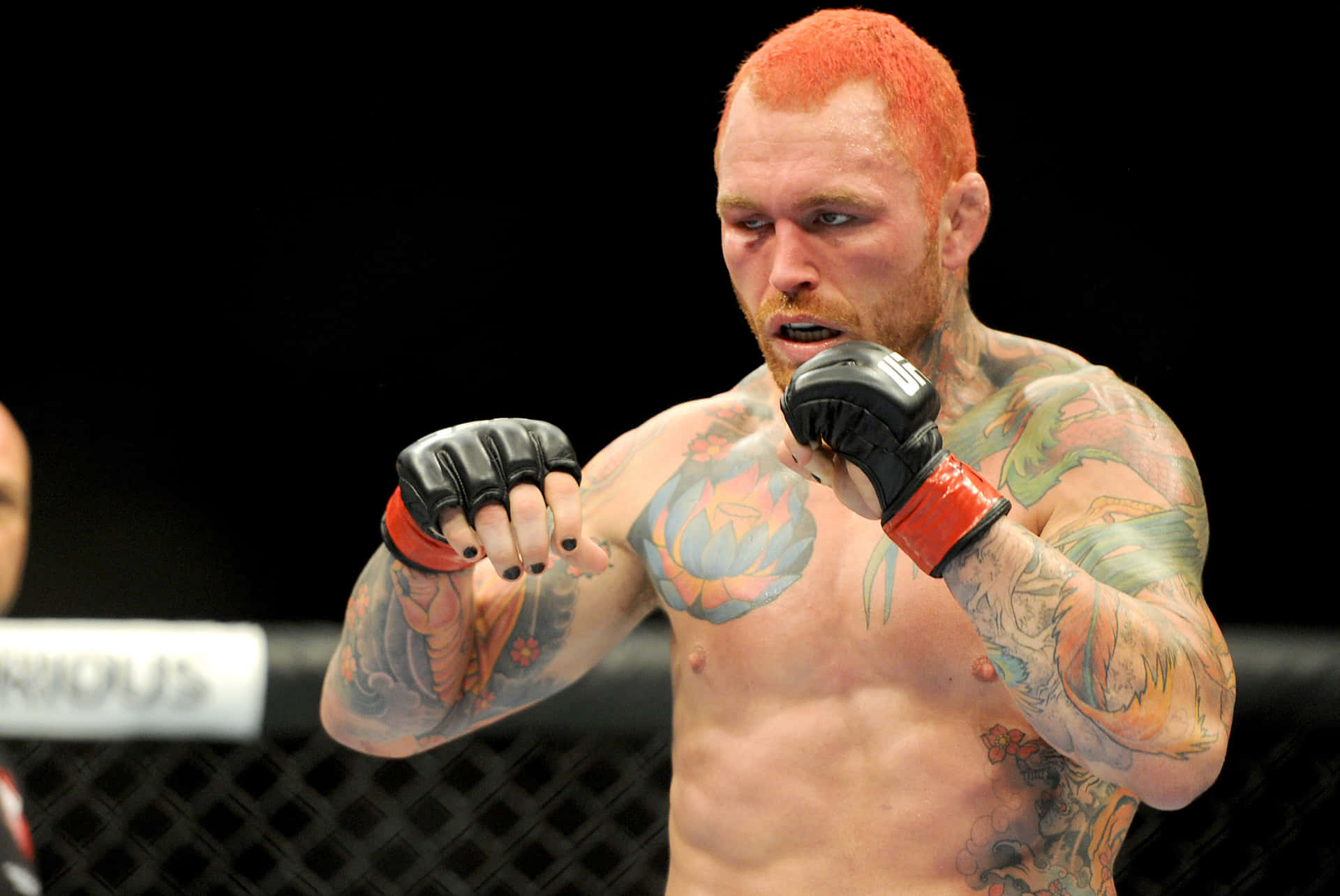 Chris Leben Papel de Parede