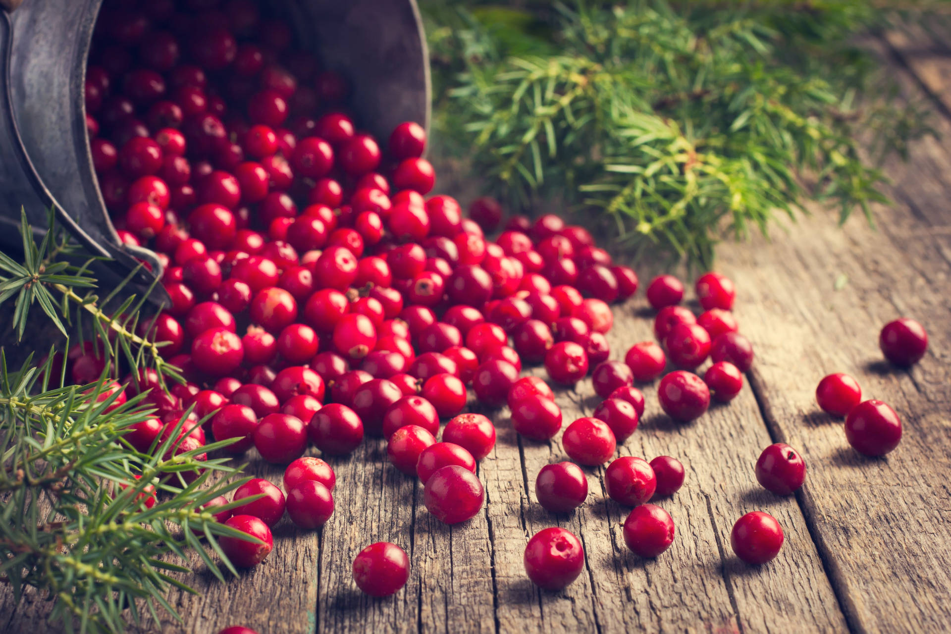 Cranberry Wallpaper