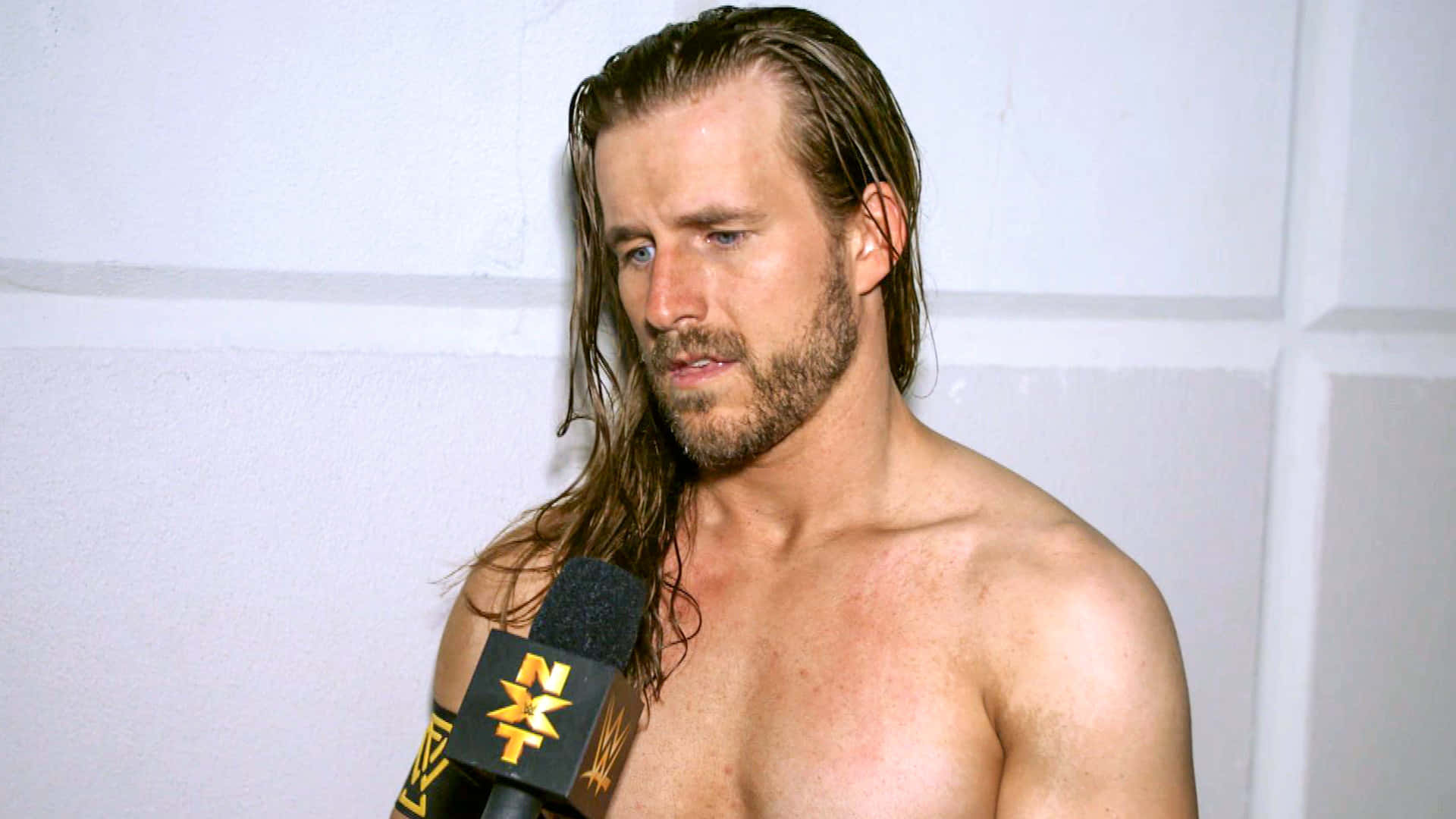 Adam Cole Wallpaper