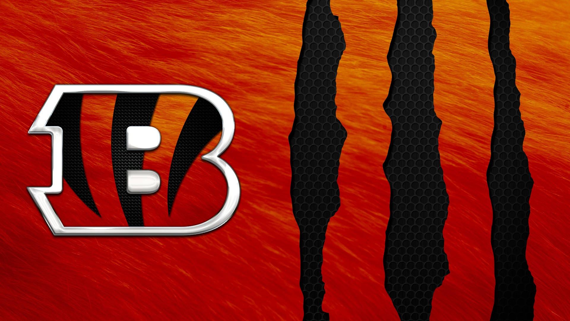 Bengals Fondo de pantalla