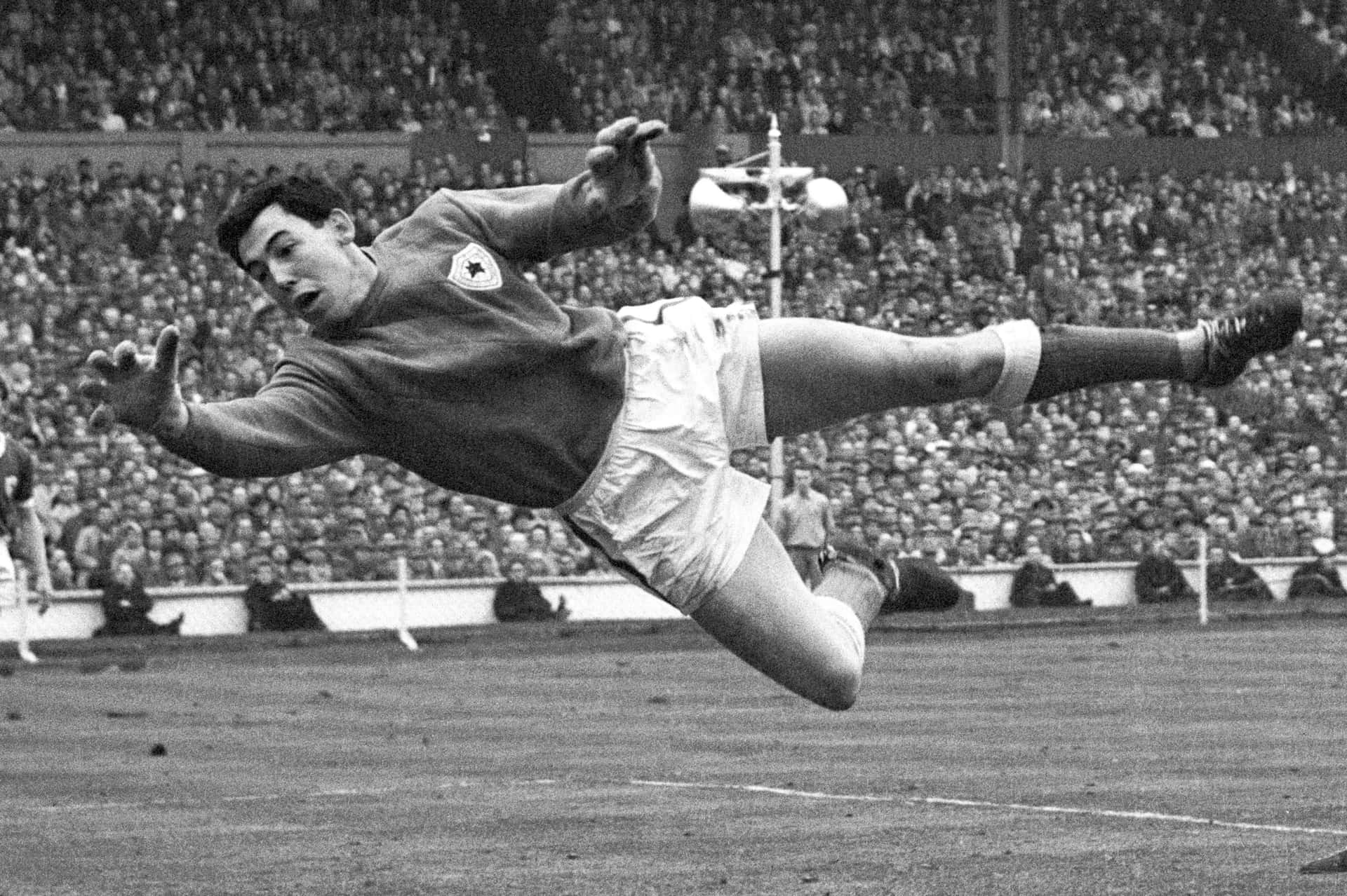 Gordon Banks Fondo de pantalla