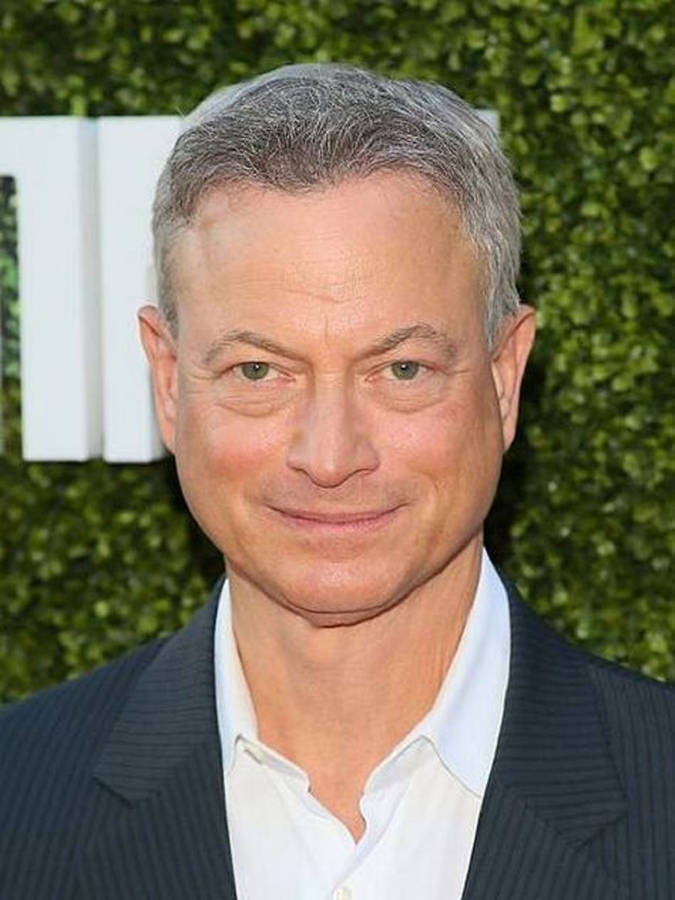 Gary Sinise Wallpaper