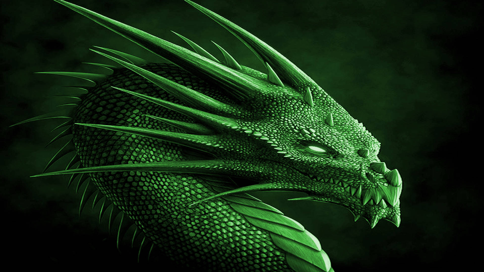 Dragón Verde Fondo de pantalla