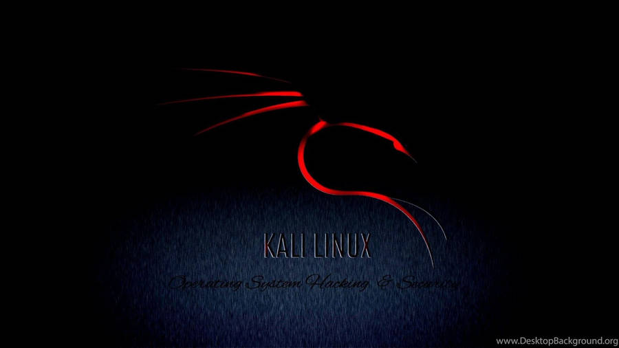 Kali Fondo de pantalla