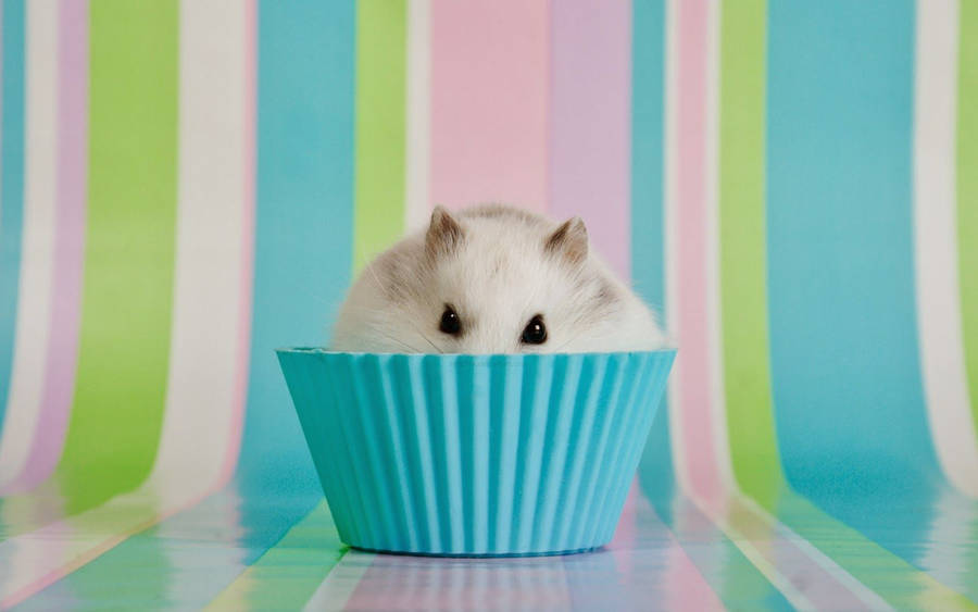 Hamster Wallpaper