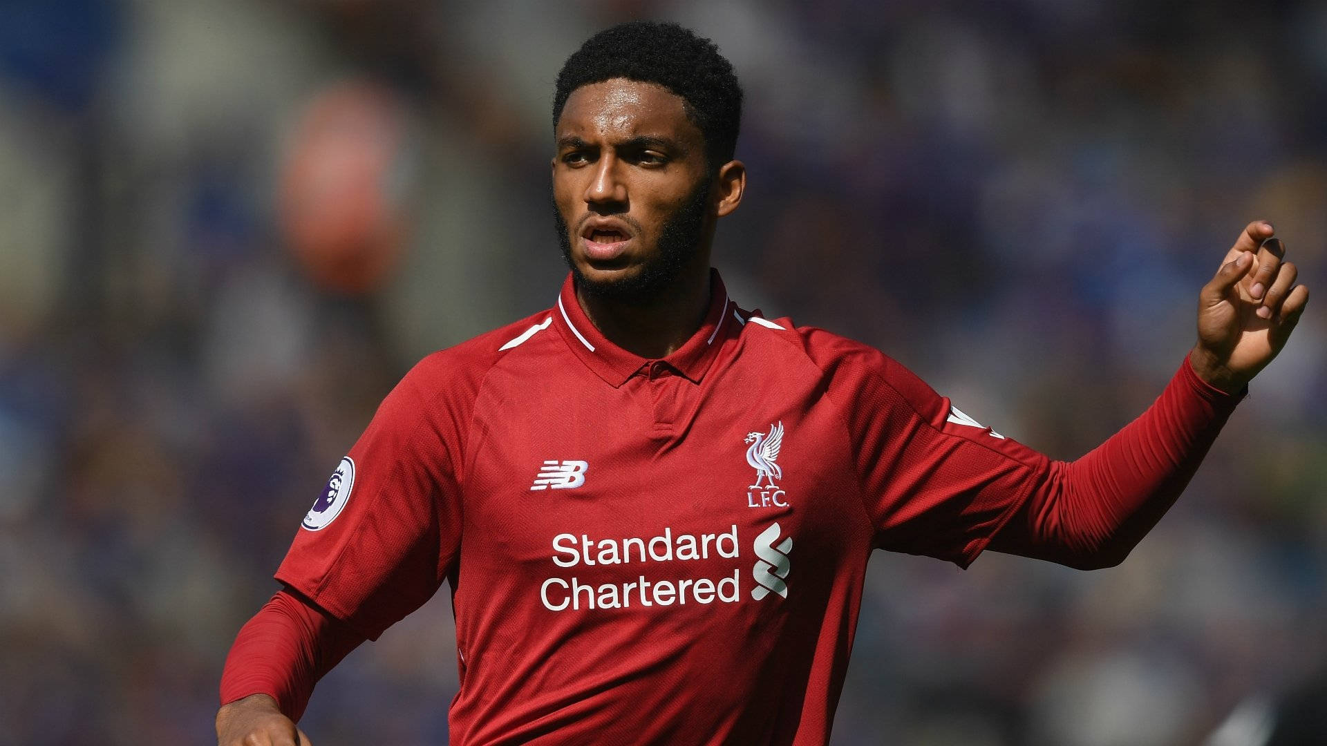 Joe Gomez Wallpaper