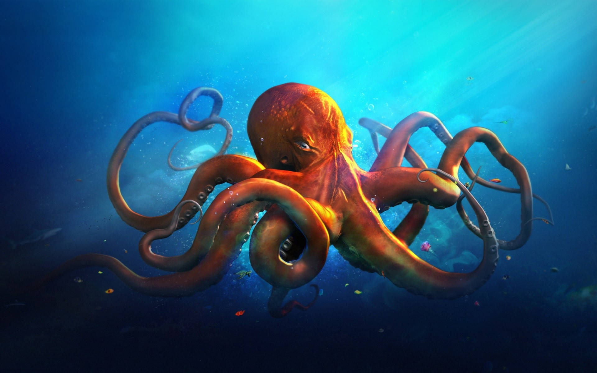 Oktopus Wallpaper