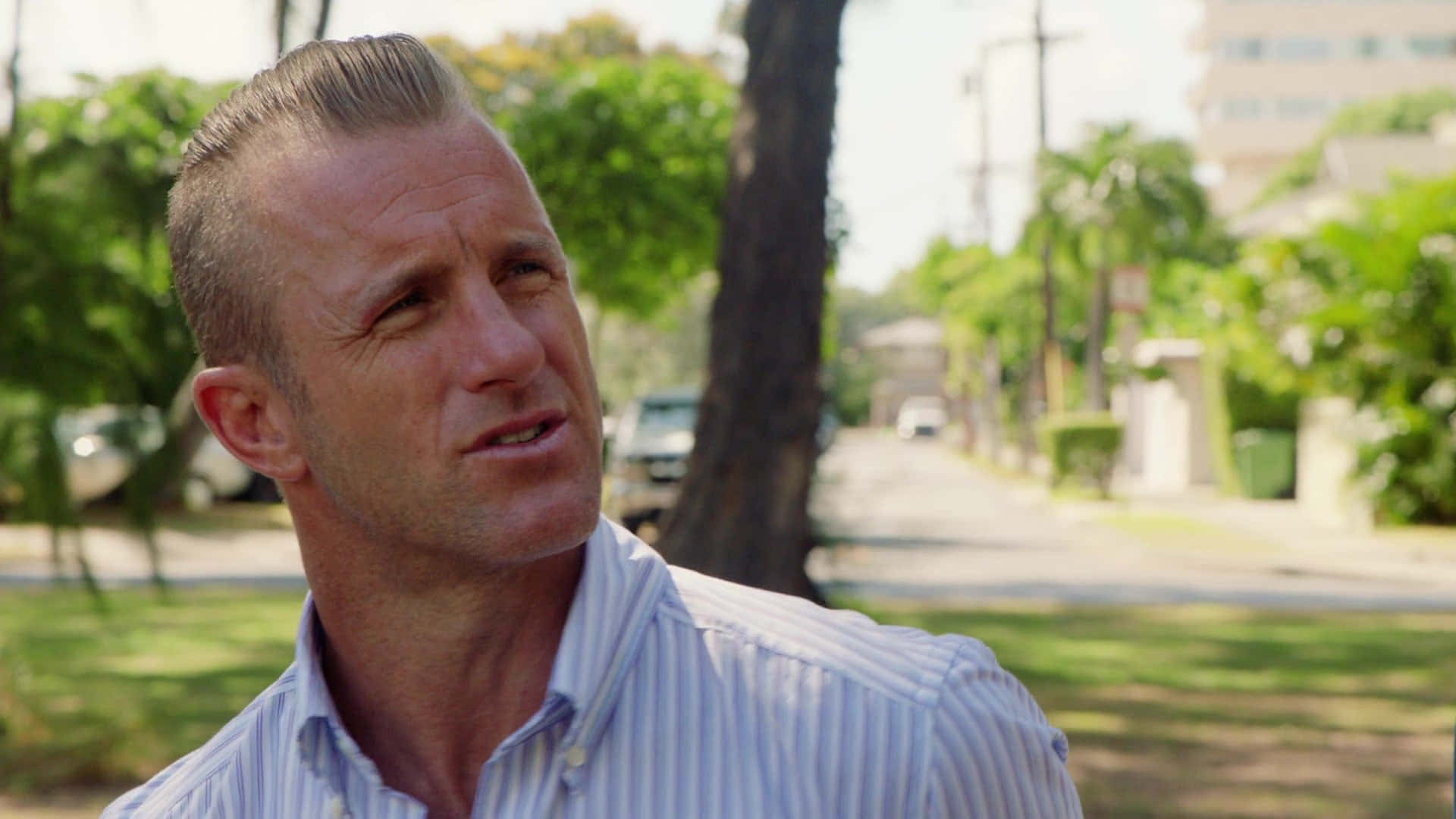 Scott Caan Papel de Parede