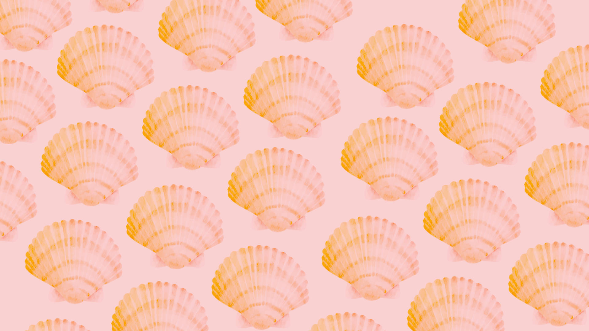 Shell Wallpaper