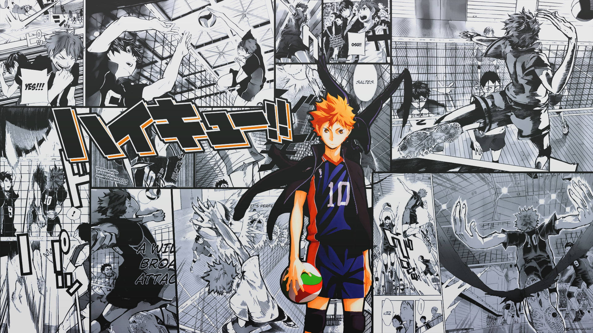 Shoyo Hinata Fondo de pantalla