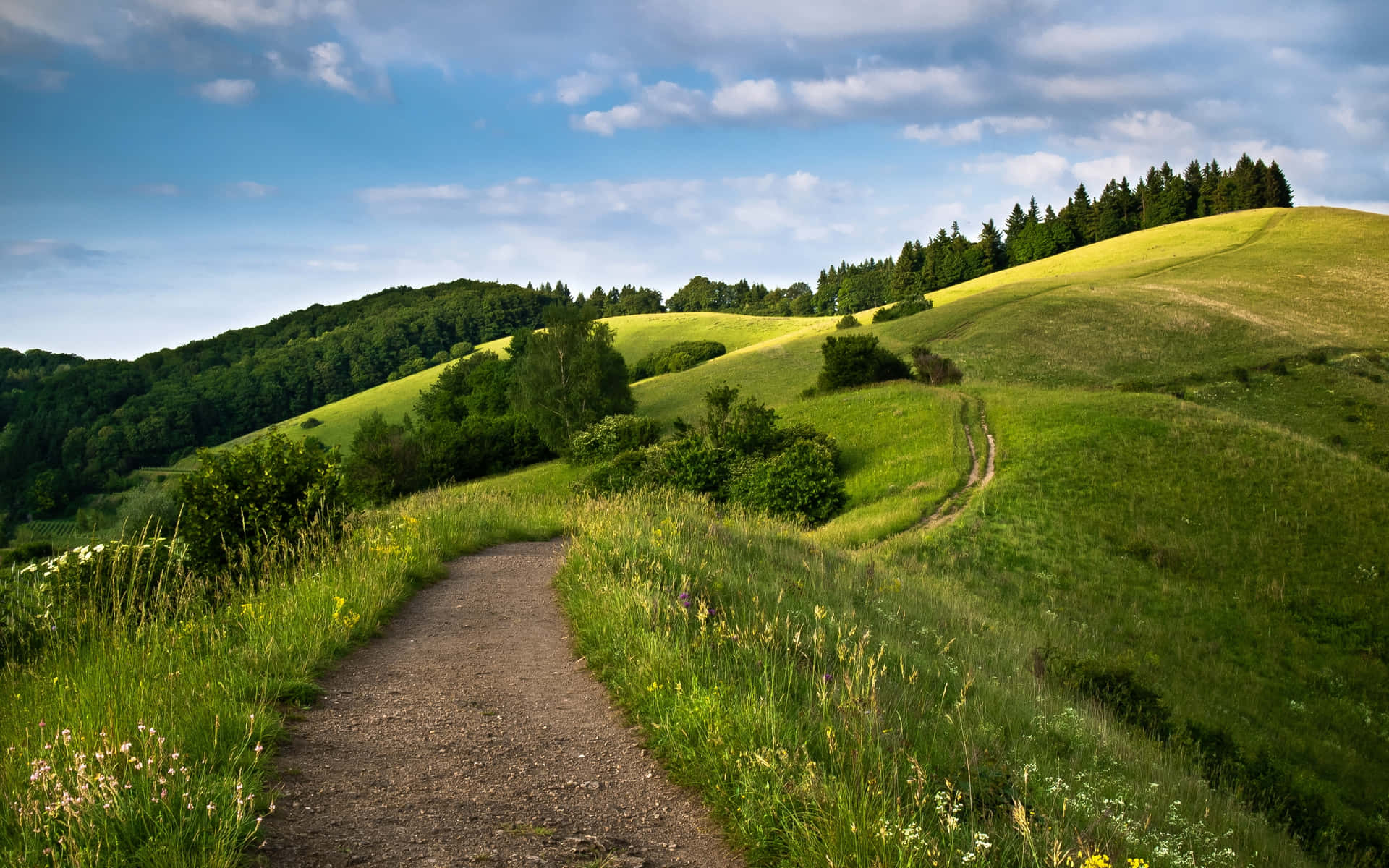 Ruta Fondo de pantalla