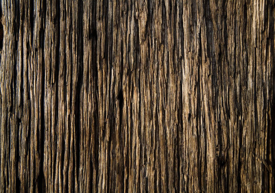 Wood Texture Wallpaper