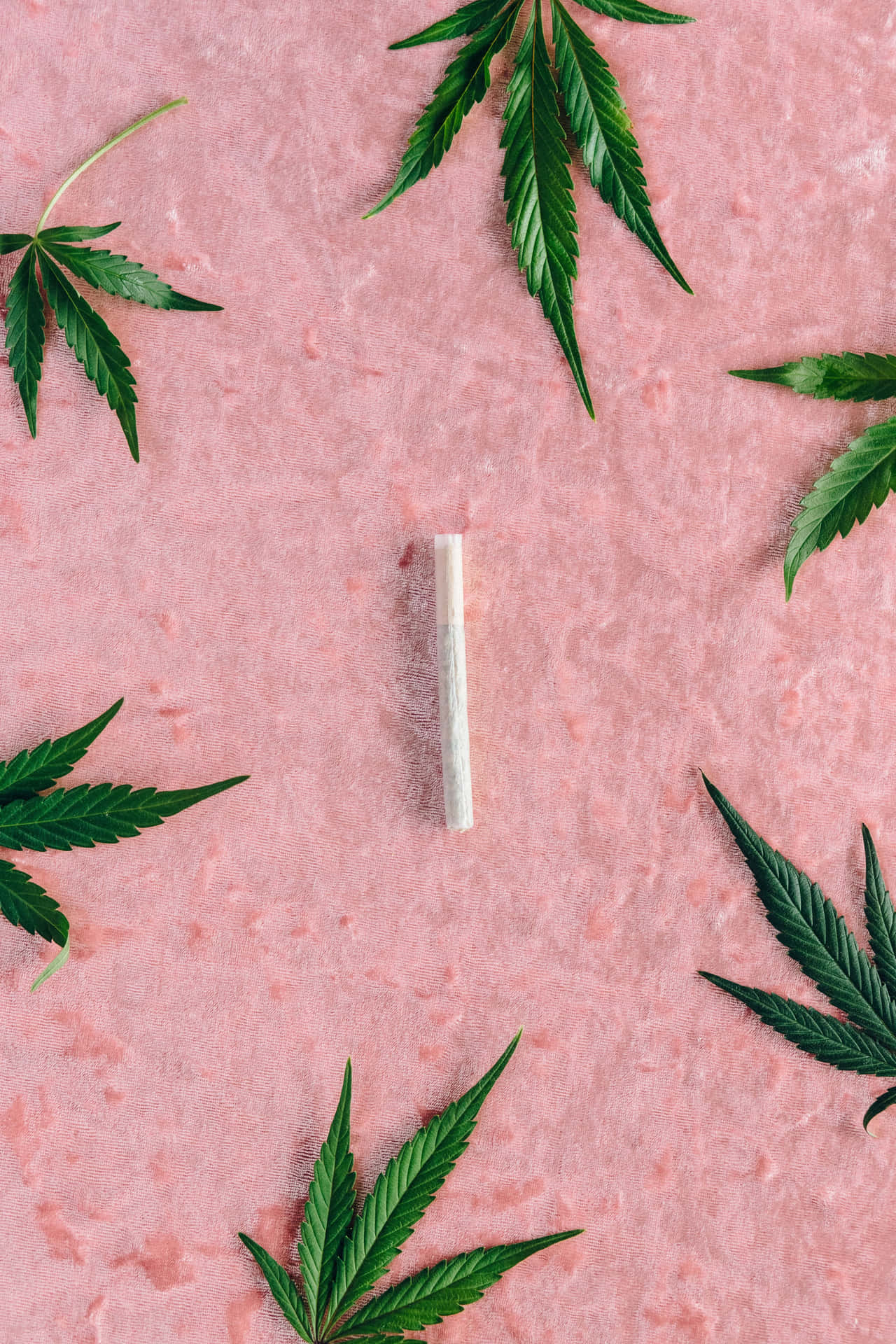 Weed Blunt Wallpaper