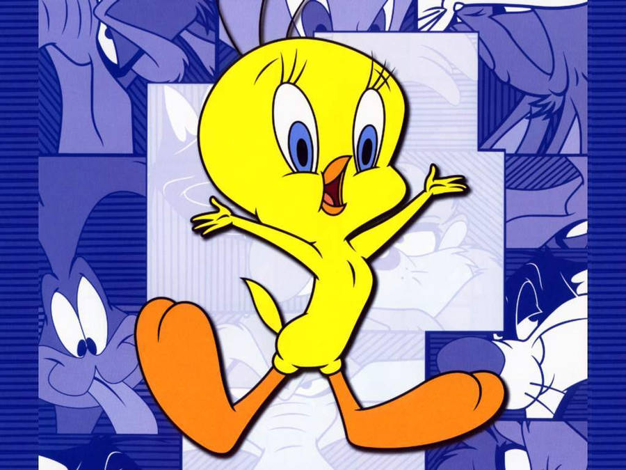 Tweety Wallpaper