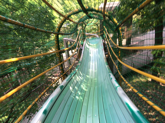 愛知県付近のオススメの公園ランキングまとめ…お金を使わず遊べます