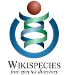 Wikispecies