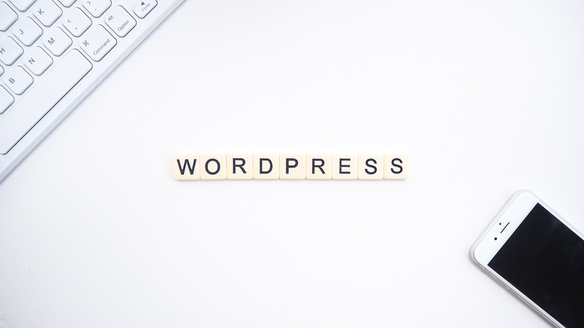 WordPress image