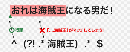 海賊王を含まない正規表現。マッチしない。