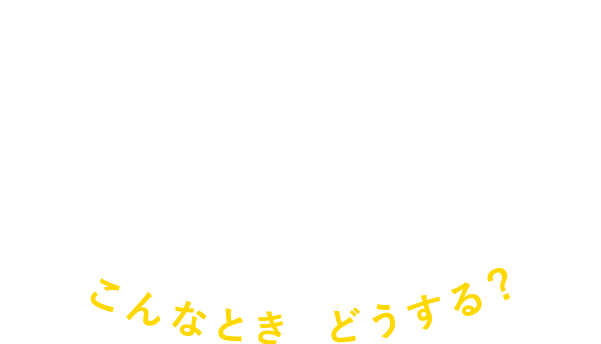 「おともだちとえんせいかつ～こんなときどうする？」園生活まるわかりDVD