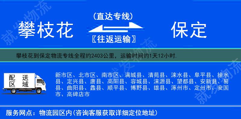 攀枝花到保定南市区物流运费-攀枝花到南市区物流公司-攀枝花发物流到南市区-