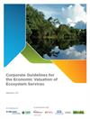  Corporate Guidelines for the Economic Valuation of Ecosystem Services
Gvces - Center for Sustainability Studies of Getulio Vargas Foundation