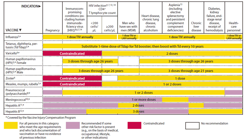 The figure shows vaccines that might be indicated for adults, based on medical and other indications in the United States, during 2012. For Figure 2, a new column was added for men who have sex with men (MSM) to note in the figure that MSM is an indication for HPV, hepatitis A, and hepatitis B vaccines.
 In addition, the diabetes indication was moved to the same col¬umn as chronic kidney disease to accommodate the new recom¬mendation for hepatitis B vaccination of persons with diabetes. 
 Because pregnant women not previously vaccinated with Tdap are now preferentially recommended for vaccination with Tdap during later pregnancy (