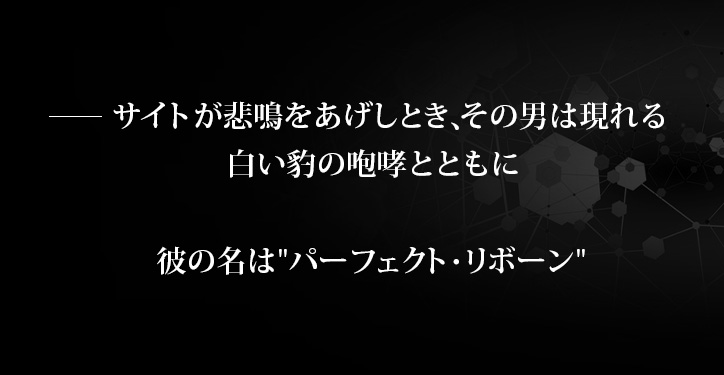 サイトが悲鳴をあげしとき、その男は現れる。白い豹の咆哮とともに。彼の名は「パーフェクト・リボーン」