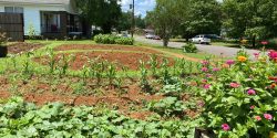 The Sacred Space Garden in the summer.