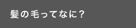 髪の毛ってなに？