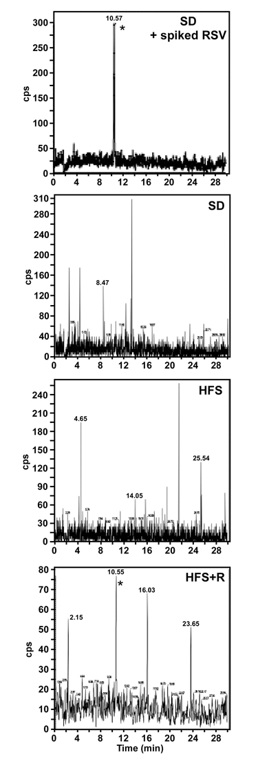 Accumulation of RSV in monkey CSF