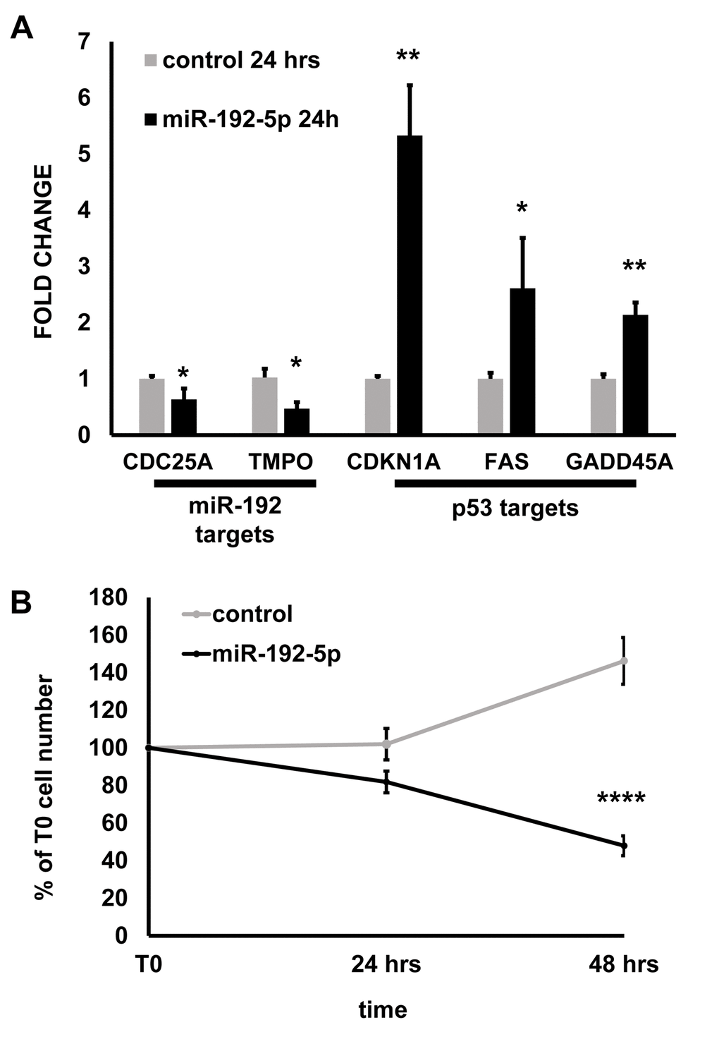 miR-192-5p overexpression inhibits EC growth. HUVEC were transfected with miR-192-5p mimic or control oligonucleotides. The next day, cells were plated at 200 000 cells/p3 plate density (T0) and harvested 24 and 48 hrs later. (A) The expression of the indicated genes was measured by qPCR at 24 hrs from T0. The bar graph represents average values ±SEM (n= 3; *pB) Cells were counted at 24 hrs and 48 hrs from plating (T0) and plotted as % of the T0 cell number. miR192-5p expression inhibited HUVEC growth significantly. The graph represents average values ±SEM (n=8 independent transfections; **** p