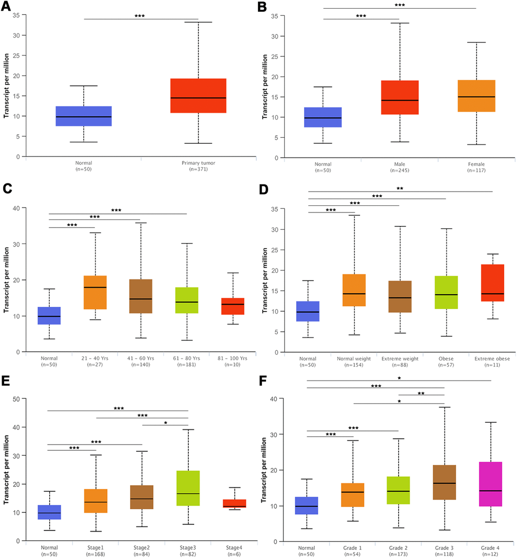 The mRNA expression of KPNA4 in the UALCAN database. (A) The mRNA expression level of KPNA4 was significantly higher in cancer tissues than in normal tissues. (B) The expression level of KPNA4 in HCC patients was higher than that in healthy people and was not associated with gender. (C) Patients (age > 21 years old) commonly had higher gene expression than young healthy people. (D) The expression level of KPNA4 was not correlated with patient weight. The expression level of KPNA4 was positively correlated with tumor stage (E) and tumor grade (F) in HCC. * represents P 