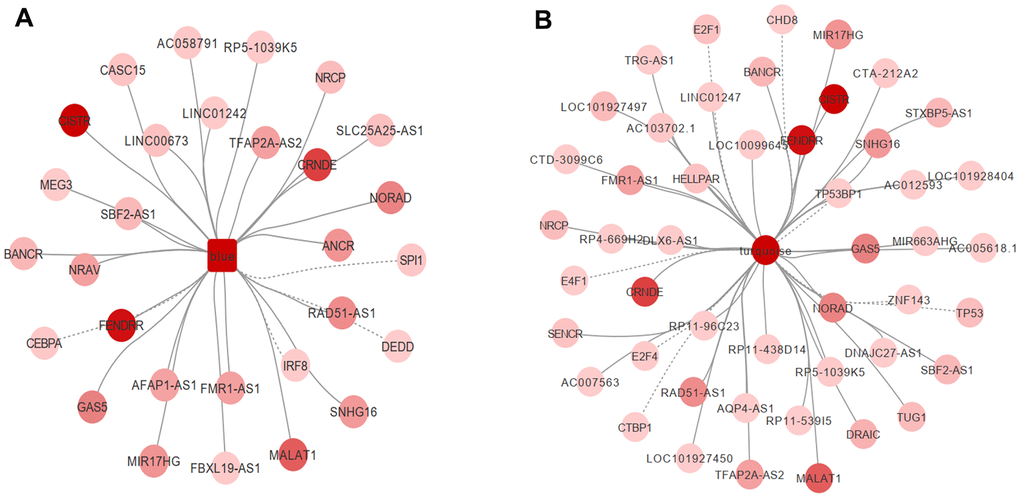 PIVOT analysis revealed TFs and ncRNAs associated with (A) blue and (B) turquoise module.