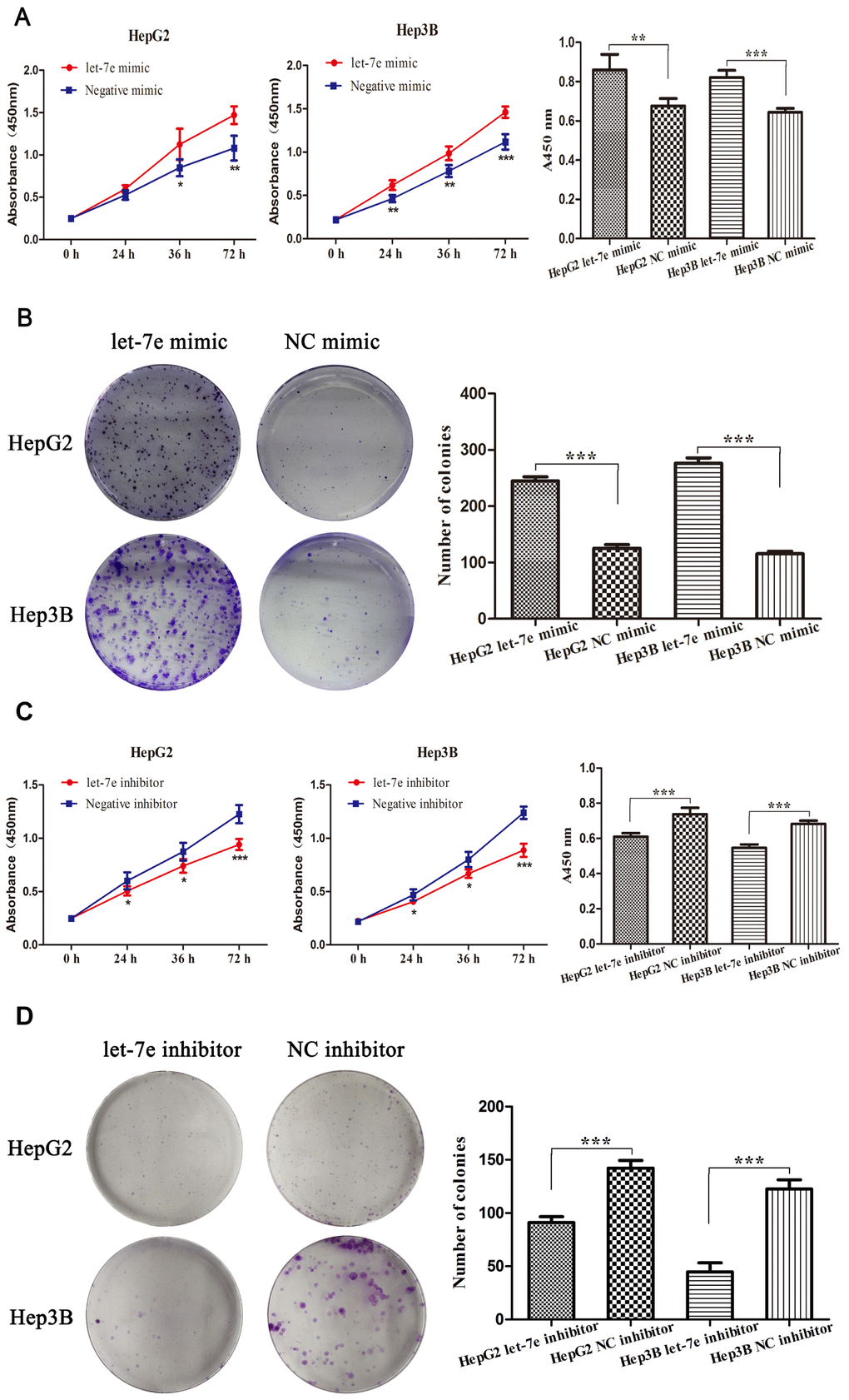 Expression of let-7e affected the growth and proliferation of HCC cells. (A) Results of cell viability assays showed that upregulated let-7e promoted the proliferation of HepG2 and Hep3B HCC cells. (B) Colony formation assays revealed that upregulated let-7e improved the colony formation efficiency of HepG2 and Hep3B HCC cells. (C) Downregulated let-7e inhibited the proliferation of HepG2 and Hep3B HCC cells. (D) Downregulated let-7e inhibited the colony formation efficiency of HepG2 and Hep3B HCC cells (*PPP