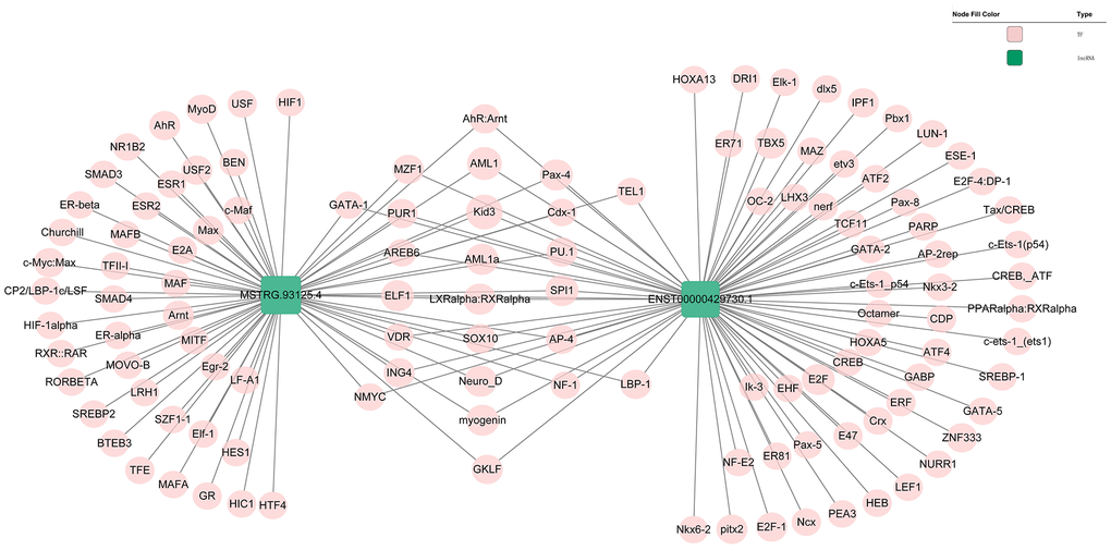 Prediction of the potential transcriptional factors of the ENST00000429730.1 and MSTRG.93125.4.