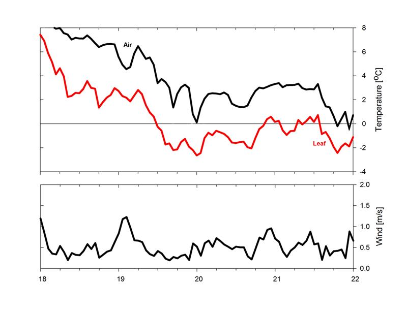 Graphs showing approximations measured with an Apogee SF-110 compared to air temperature and wind speed. 