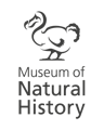 Museum of Natural History