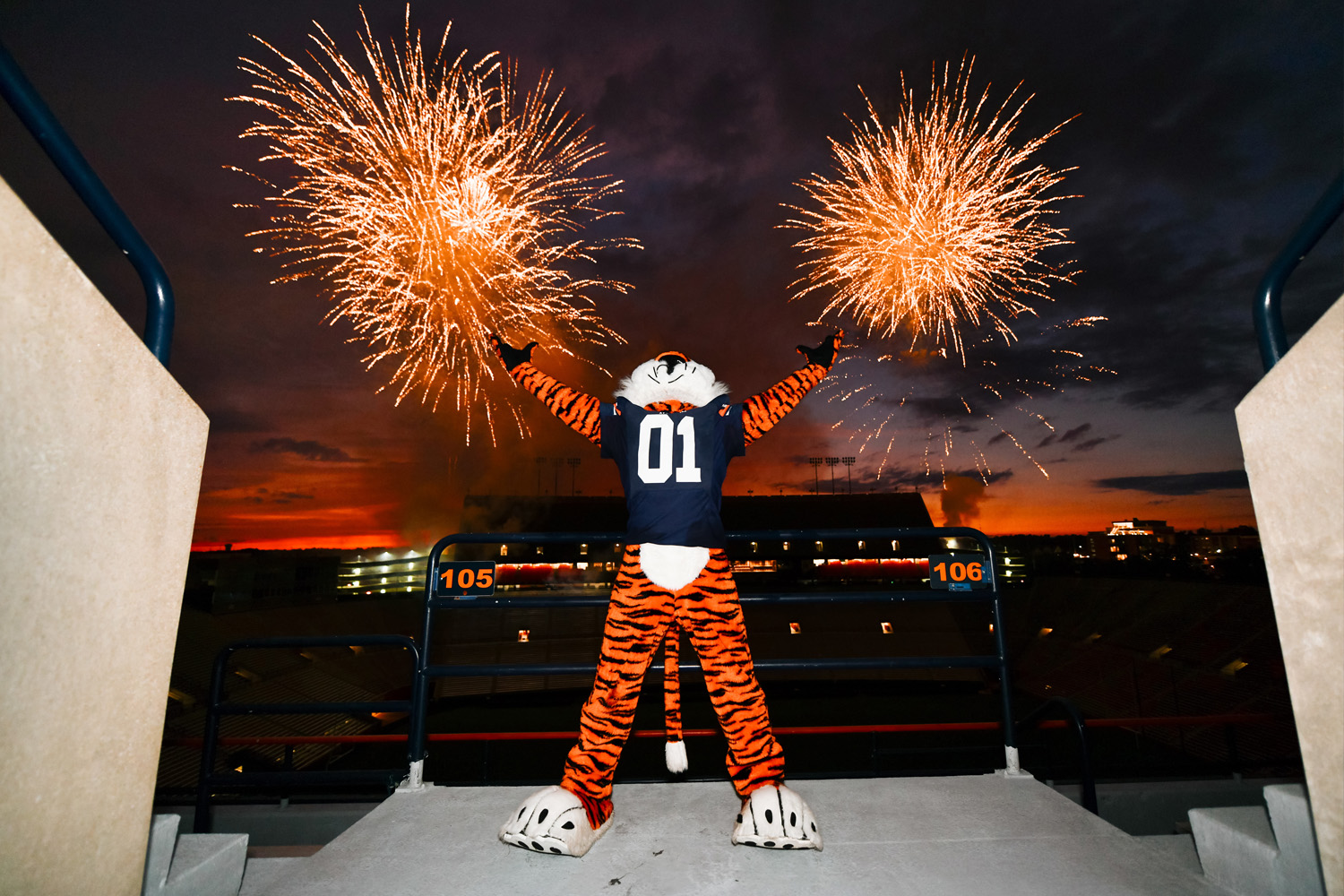 Aubie standing with arms wide as fireworks go off behind him