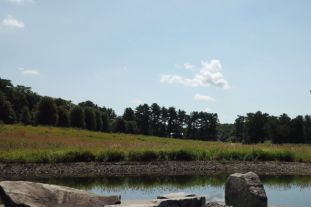 Meadow on North Campus of Bard College.